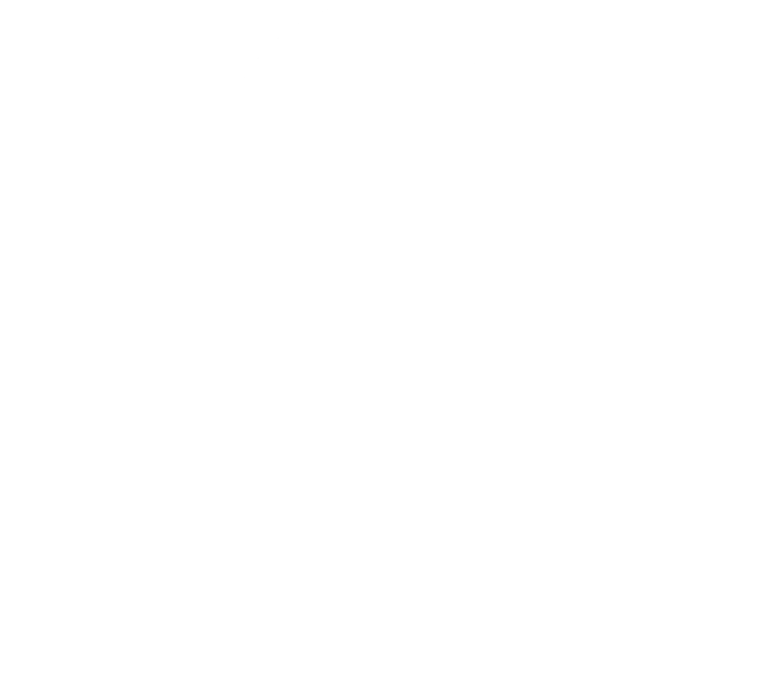 Logo for Mirror Lake Village Senior Living Community, featuring a stylized lake, hills, pine trees, and birds within a circular frame.